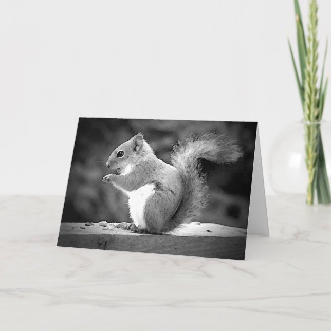 Eichhörnchen Karte (Vorderseite)