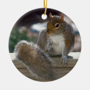 Eichhörnchen Keramik Ornament