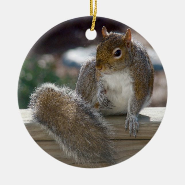 Eichhörnchen Keramik Ornament (Vorne)