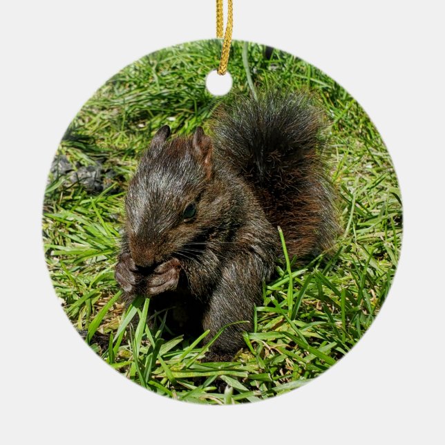 Eichhörnchen Keramik Ornament (Vorne)