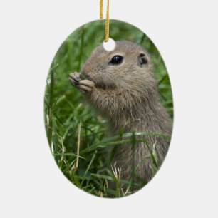 Eichhörnchen Keramik Ornament