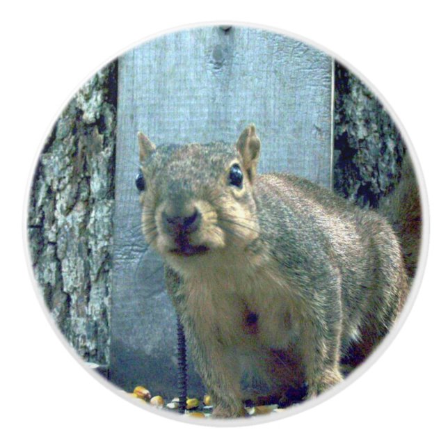 Eichhörnchen Keramikknauf (Vorderseite)