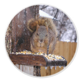 Eichhörnchen Knobs Keramikknauf