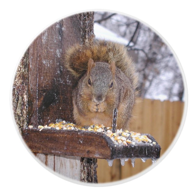 Eichhörnchen Knobs Keramikknauf (Vorderseite)
