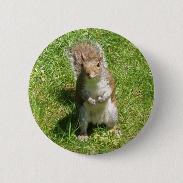 Eichhörnchen-Knopf Button (Vorderseite)