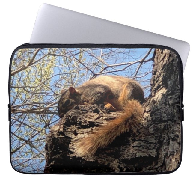 Eichhörnchen Laptopschutzhülle (Vorderseite)