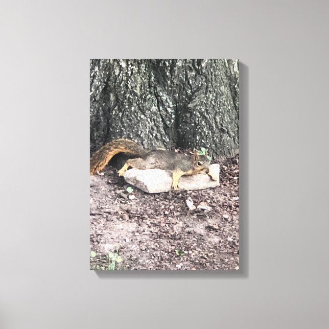 Eichhörnchen Leinwanddruck (Vorderseite)