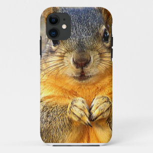 Eichhörnchen-Liebe_ iPhone 11 Hülle