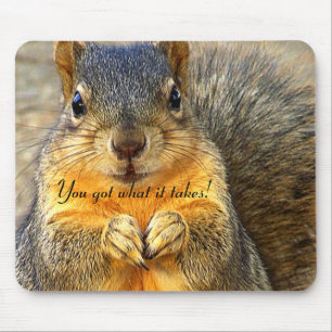 Eichhörnchen-Liebe_ Mousepad