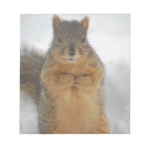 Eichhörnchen-Liebe Notizblock