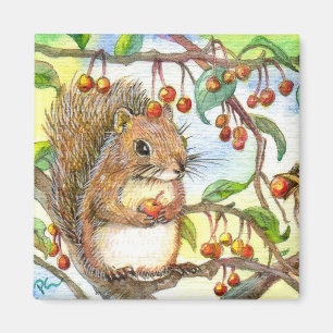Eichhörnchen Magnet