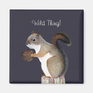 Eichhörnchen Magnet