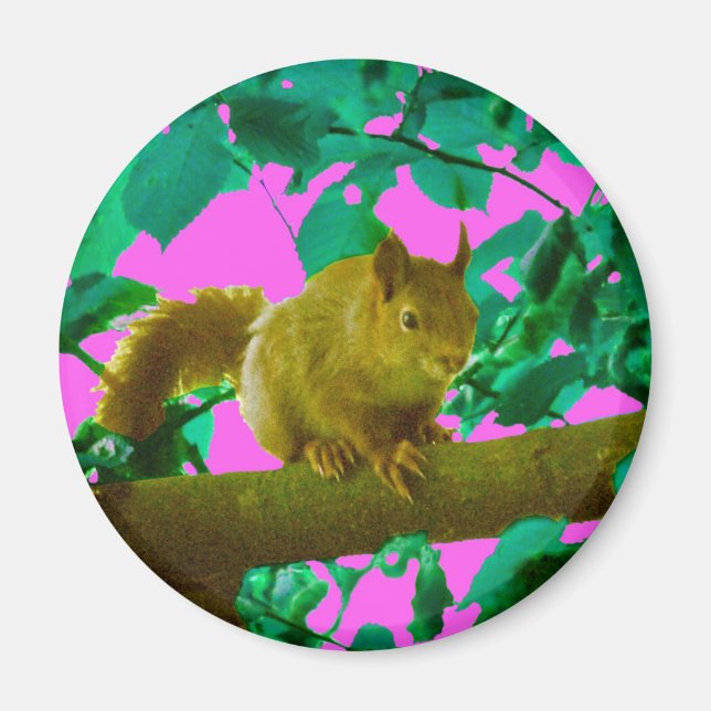 Eichhörnchen Magnet (Vorne)