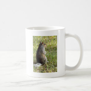 Eichhörnchen-Meditationen Tasse