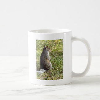 Eichhörnchen-Meditationen Tasse