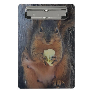 Eichhörnchen Mini Klemmbrett