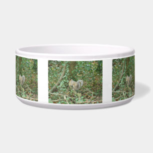 Eichhörnchen mit Acorn Dog Bowl Napf