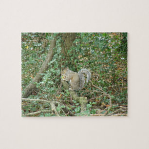 Eichhörnchen mit Acorn Puzzle