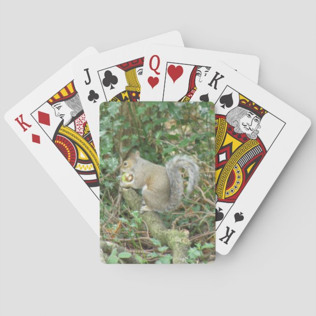 Eichhörnchen mit Acorn Spielkarten (Rückseite)