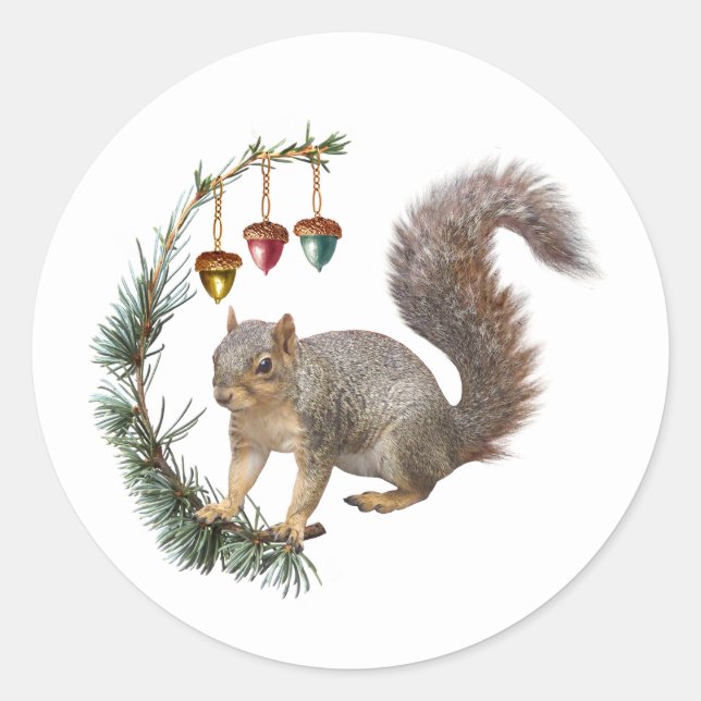 Eichhörnchen mit Acorn Swag Stickers (Vorderseite)