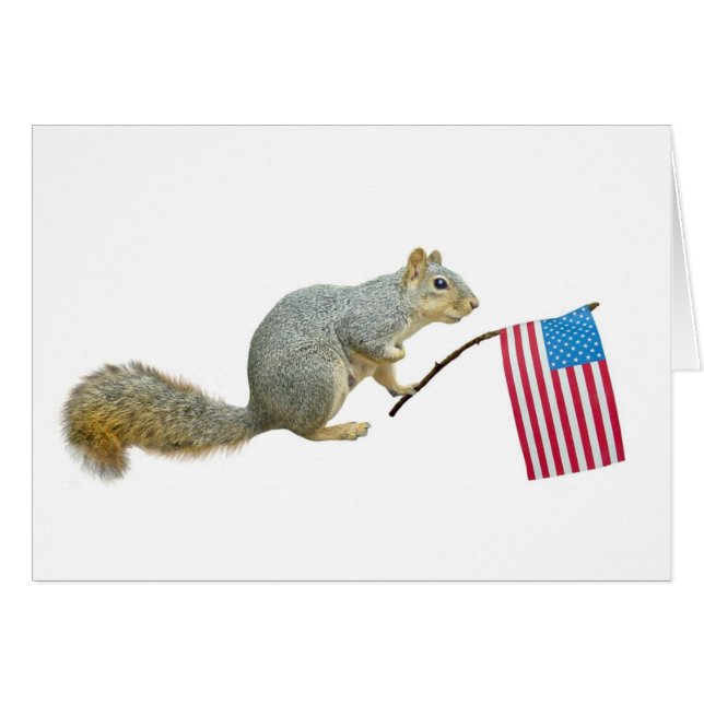Eichhörnchen mit amerikanischer Flagge (Vorderseite (Horizontal))