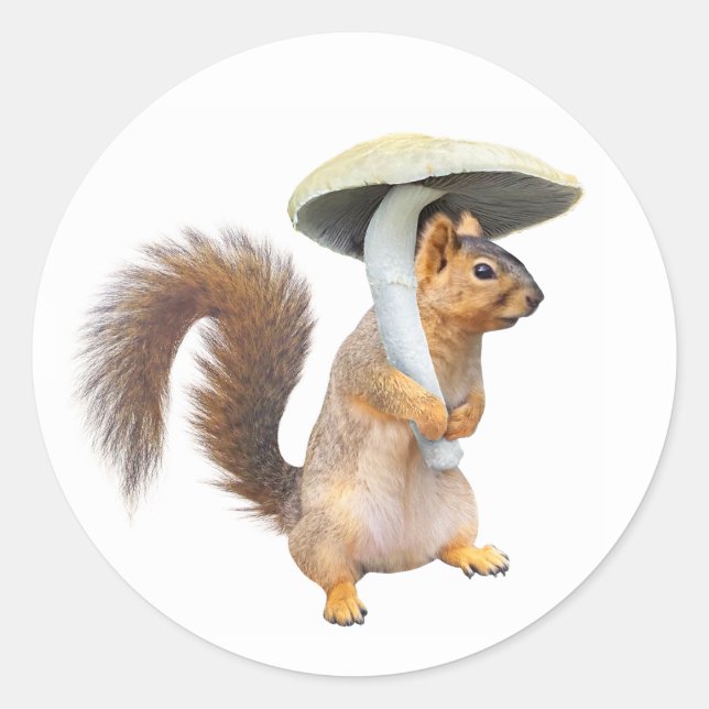 Eichhörnchen mit Aufkleber für Pilze (Vorderseite)