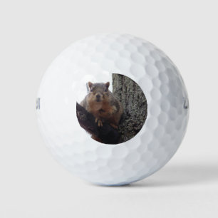 Eichhörnchen mit Blick auf Ihren Golfball