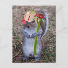 Eichhörnchen mit Blume Pedalhut Postkarte