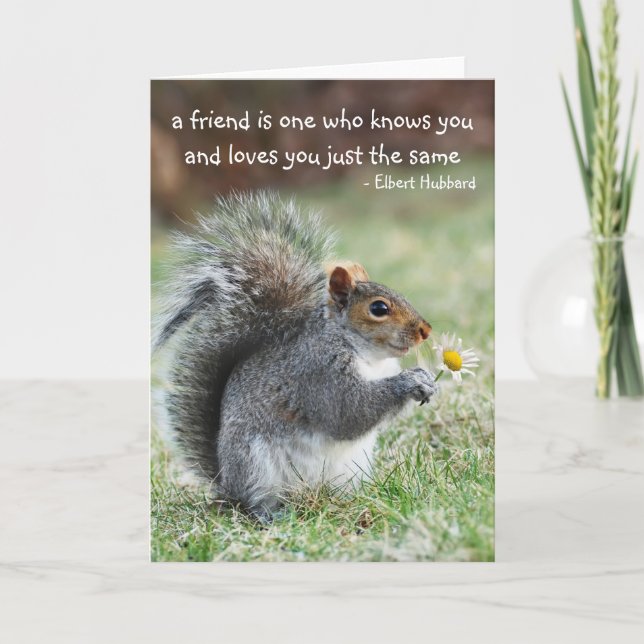 Eichhörnchen mit Daisy Friendship Quote Card Karte (Vorderseite)