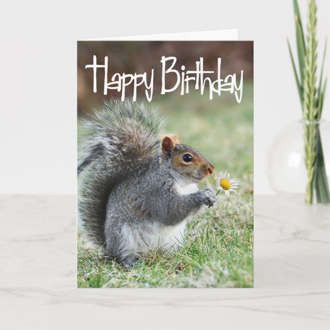 Eichhörnchen mit Daisy Happy Birthday Card Karte (Vorderseite)