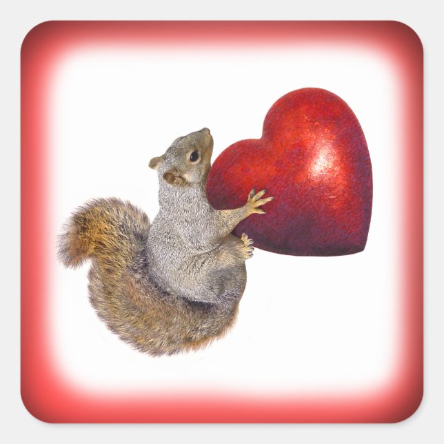 Eichhörnchen mit dem Aufkleber "Big Red Heart" (Vorderseite)