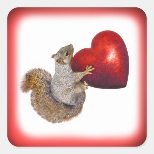 Eichhörnchen mit dem Aufkleber "Big Red Heart"