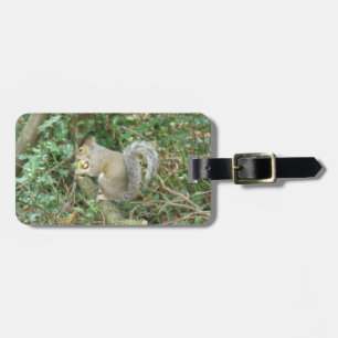 Eichhörnchen mit dem benutzerdefinierten Gepäckanh Gepäckanhänger