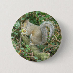Eichhörnchen mit Eichel-Knopf Button