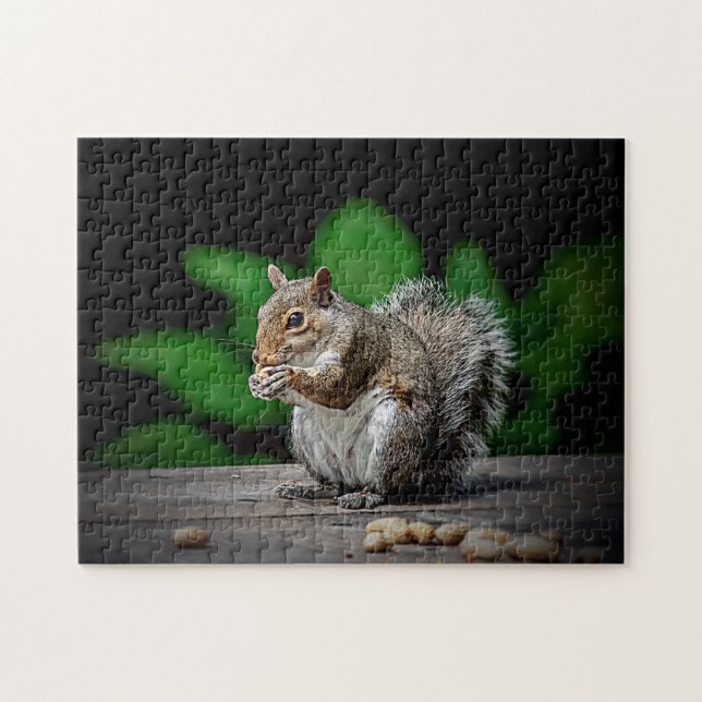 Eichhörnchen mit Erdnüssen Puzzle (Horizontal)