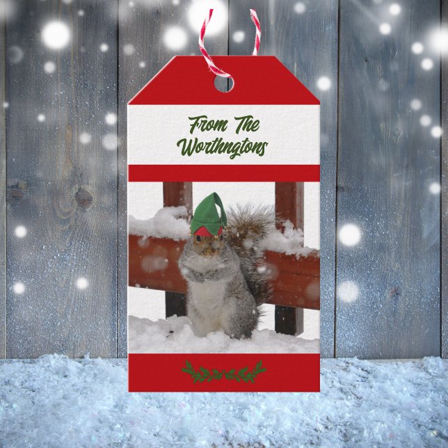 Eichhörnchen mit grüner Mütze Schnee Rot und Weiß  Geschenkanhänger (Von Creator hochgeladen)