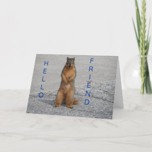 Eichhörnchen mit Nut, Hello Friend Karte