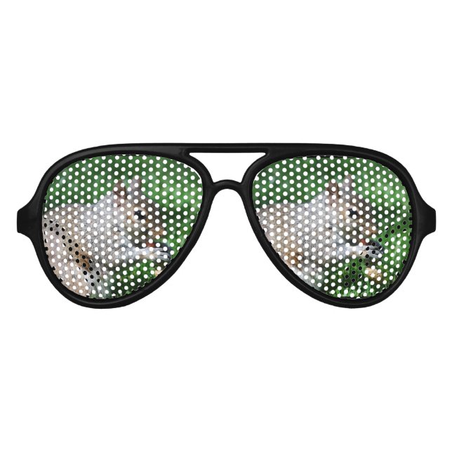 Eichhörnchen mit Nut Partybrille (Vorderseite)