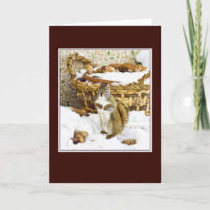 Eichhörnchen mit pinecones - Grußkarte Feiertagskarte