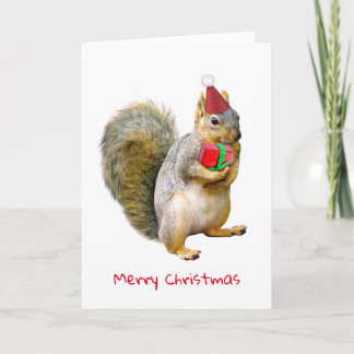 Eichhörnchen mit Red Gift Christmas Card Feiertagskarte