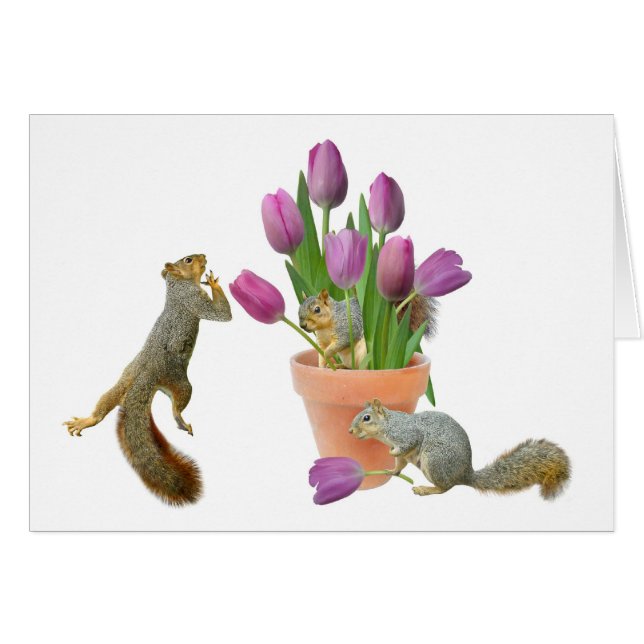 Eichhörnchen mit Tulpe-Karte (Vorderseite (Horizontal))