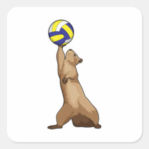 Eichhörnchen mit Volleyball Quadratischer Aufkleber
