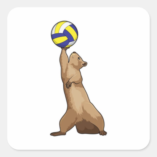 Eichhörnchen mit Volleyball Quadratischer Aufkleber (Vorderseite)