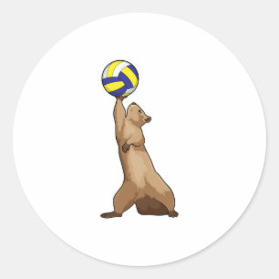 Eichhörnchen mit Volleyball Runder Aufkleber