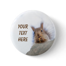 Eichhörnchen mit Walnuss