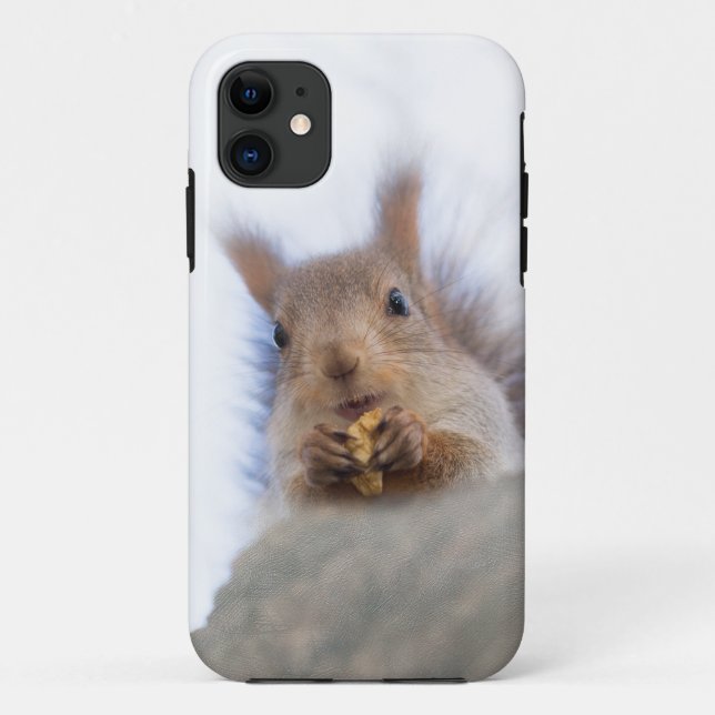 Eichhörnchen mit Walnuss Case-Mate iPhone Hülle (Rückseite)
