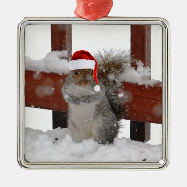 Eichhörnchen mit Weihnachtsmannmütze Holiday Ornam Ornament Aus Metall (Vorne)