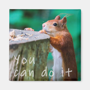 Eichhörnchen MotivationŌ Magnet
