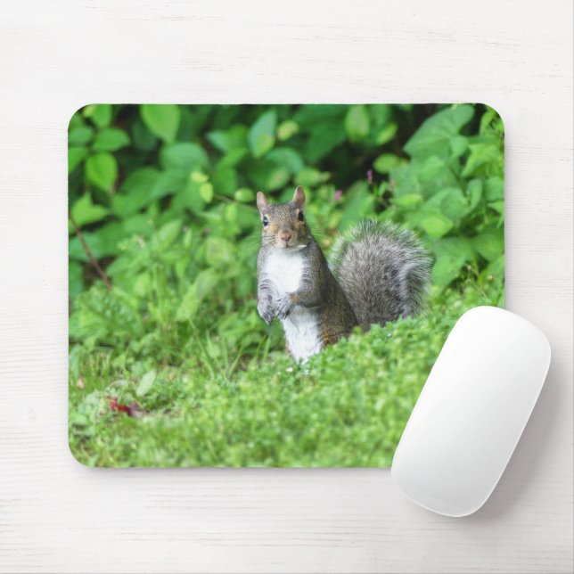 Eichhörnchen Mousepad (Mit Mouse)