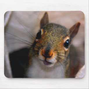 Eichhörnchen Mousepad